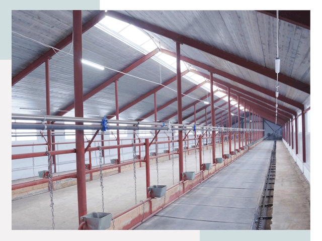 Строительство коровников в Ноябрьске от 608 руб.