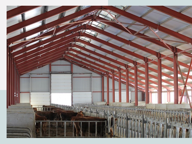 Строительство коровников в Ноябрьске